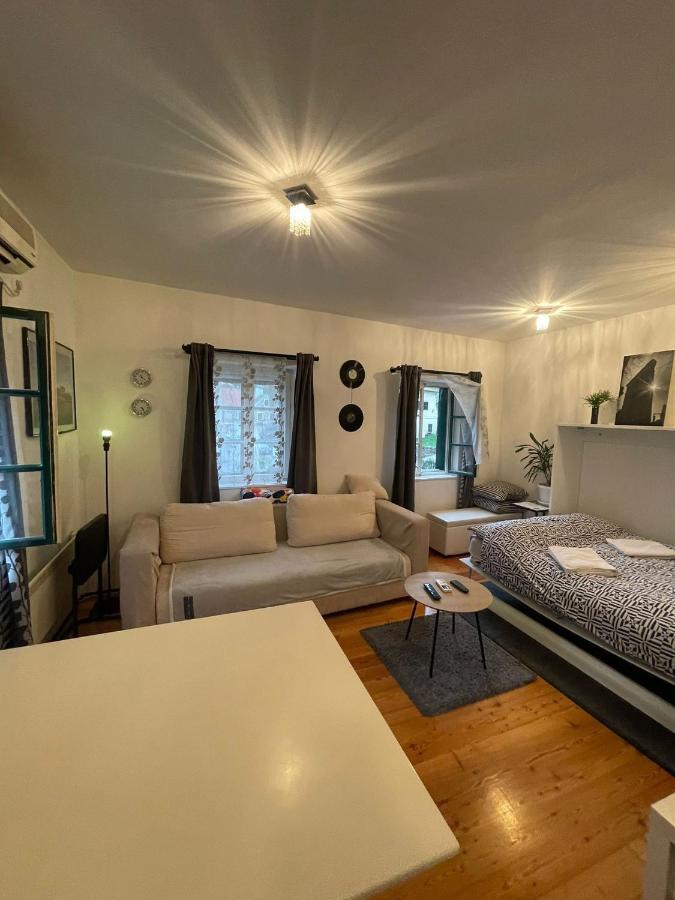 Tkalca Apartment *