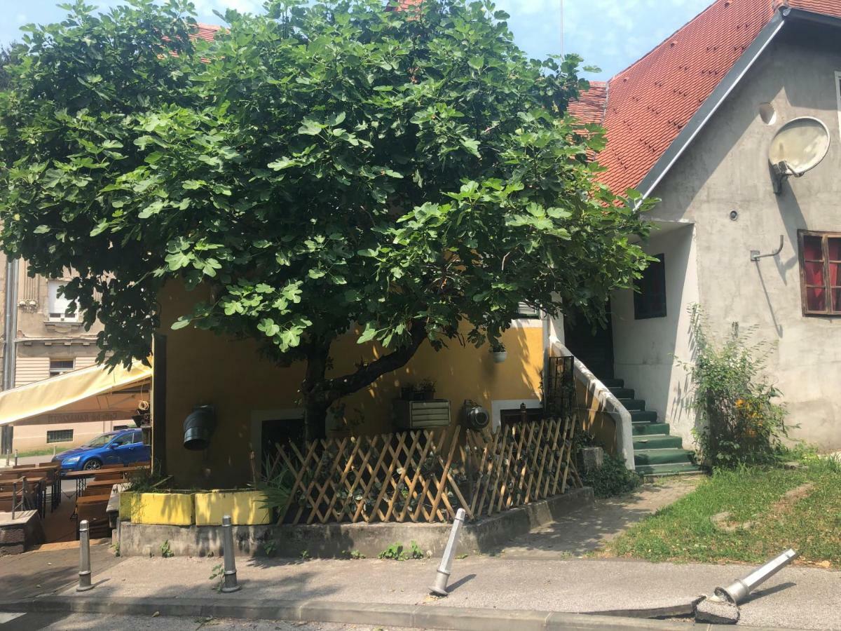 Tkalca